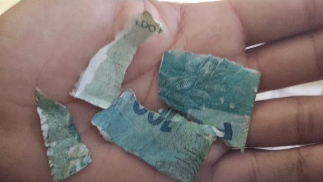 Após vender todas as trufas e cair em golpe ao receber nota falsa de R$ 100, menino de 13 anos recebe doações