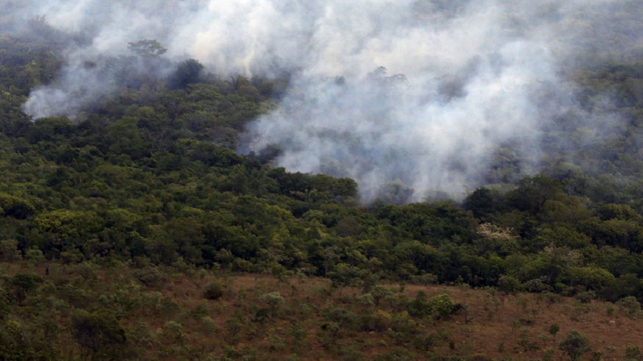 Amazônia pode atingir colapso irreversível antes do fim desta década