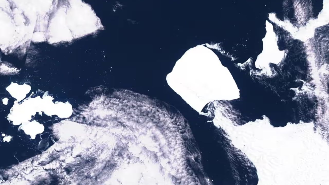 Maior iceberg do mundo sai da Antártida após mais de 30 anos encalhado