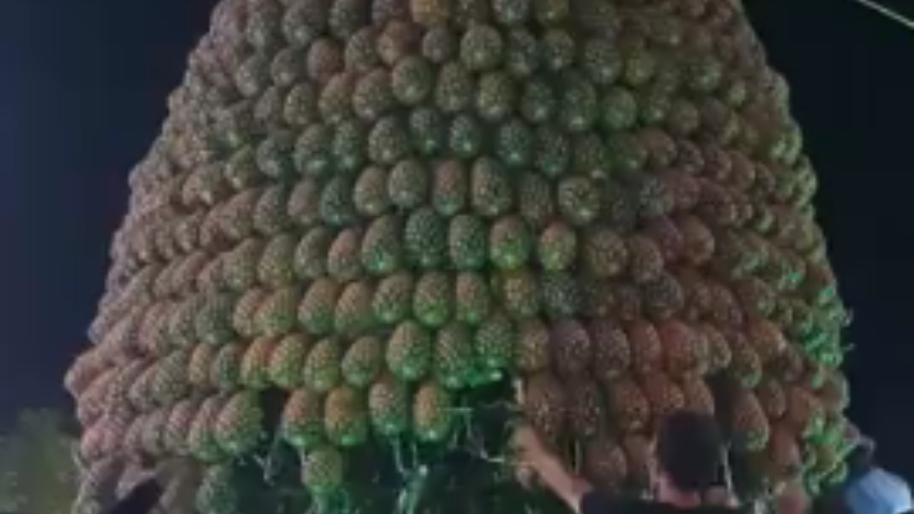Escultura gigante de abacaxi desaba sobre público de festa típica