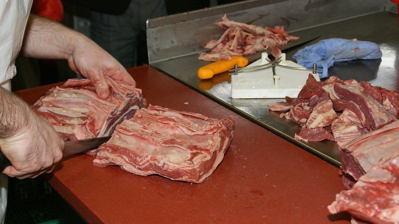 Procon proíbe venda de ossos para população em Santa Catarina