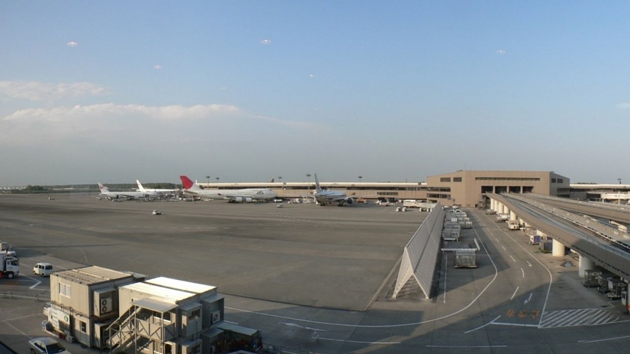 Tartaruga na pista atrasa voos em segundo aeroporto mais movimentado do Japão