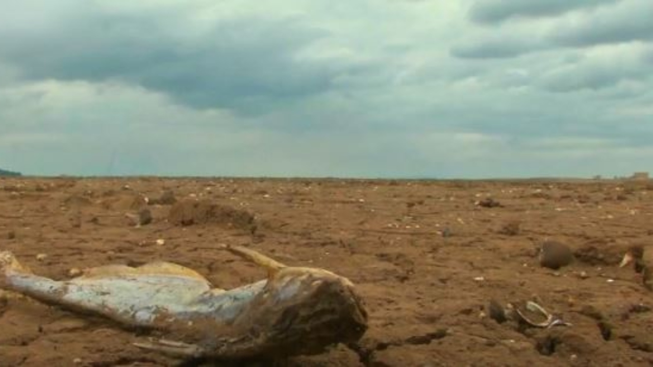 Cientistas cobram justiça climática para África em mais de 250 periódicos