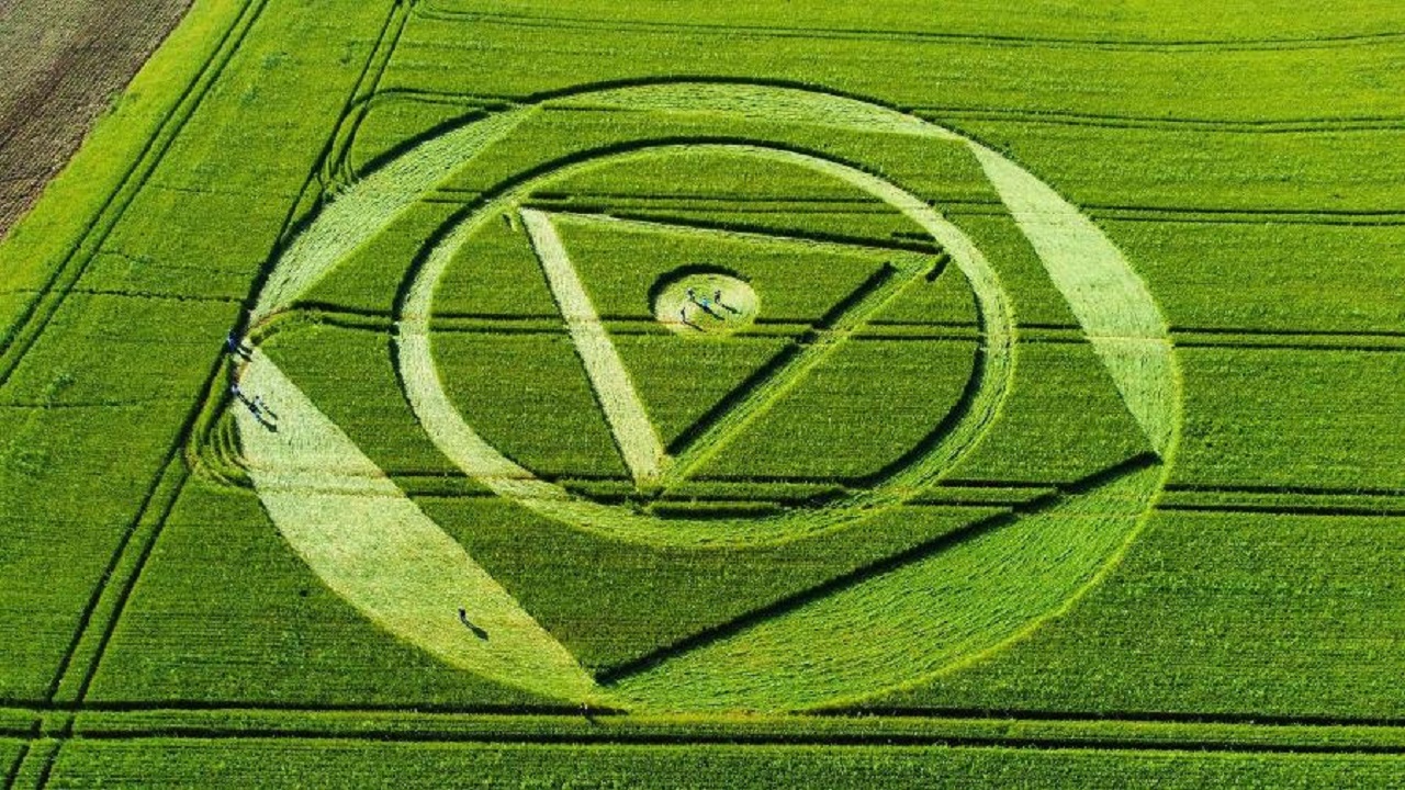 Plantação de trigo em Santa Catarina amanhece com agroglifo misterioso