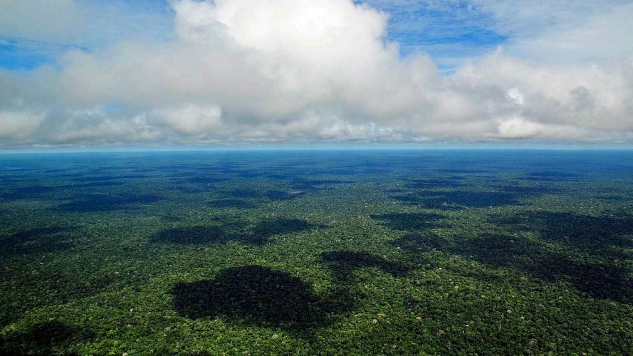 Tão populosas quanto pólis gregas e vilas medievais: as antigas cidades da Amazônia