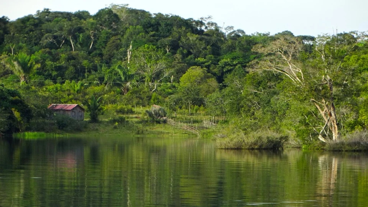 Força-Tarefa em Defesa da Amazônia permanecerá mais um ano na região