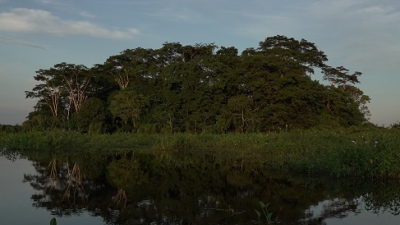 ‘Amazônia, Arqueologia da Floresta’ retrata transformações da floresta ao longo de 6 mil anos