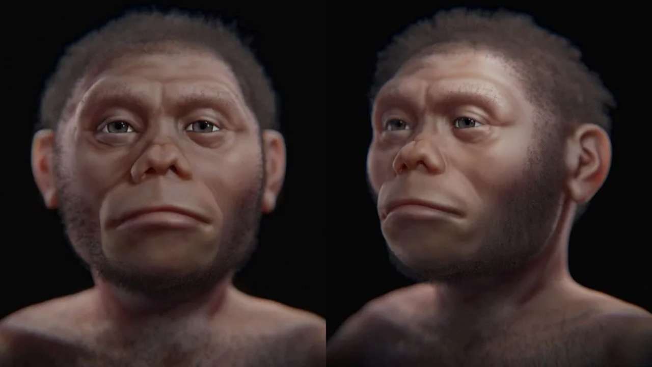 Aproximação facial de ‘Hobbit de Flores’ é criada por cientistas italianos e um brasileiro