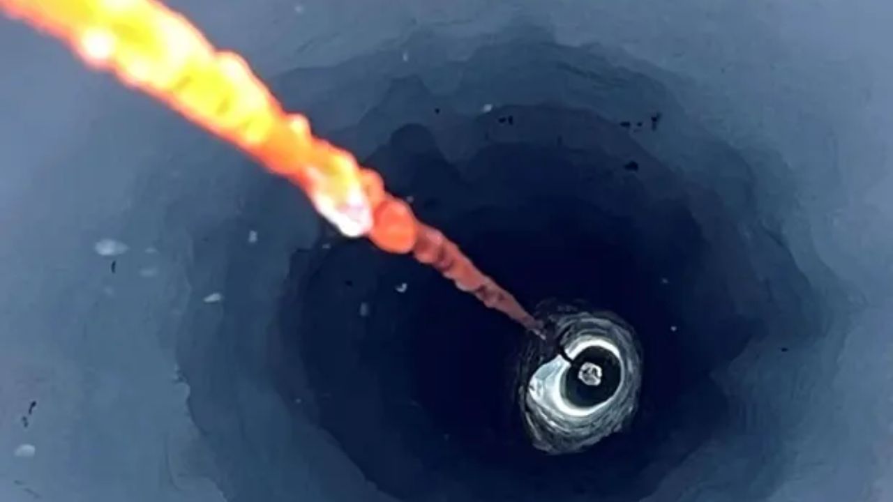 Ecossistema revelado sob gelo da Antártica impressiona cientistas