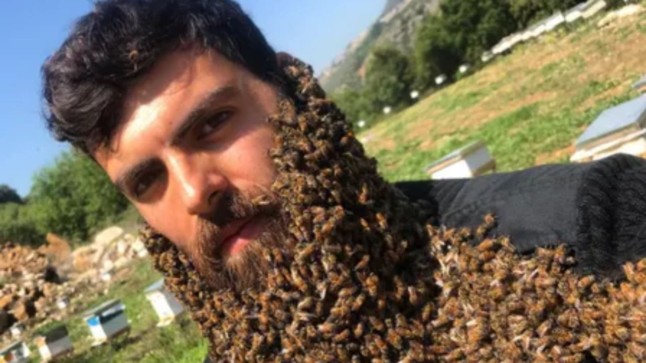 Apicultor libanês viraliza com foto de abelhas pousando sobre sua barba: ‘Barba de abelha’