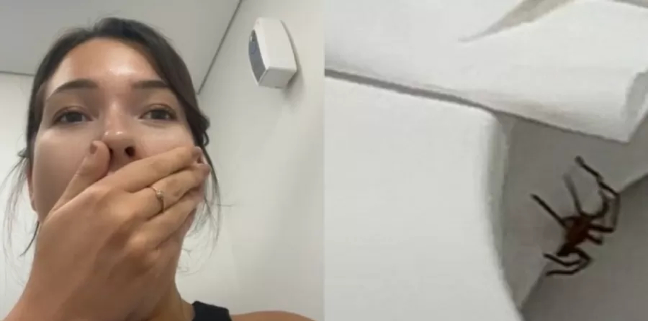 Modelo se depara com aranha venenosa após se levantar de vaso sanitário