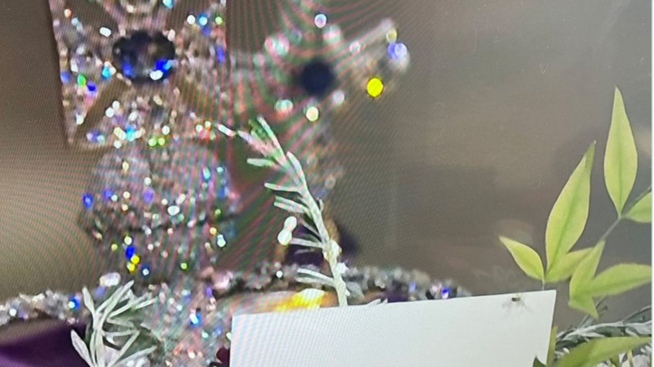 Aranha sobe em caixão da rainha Elizabeth II durante transmissão do funeral