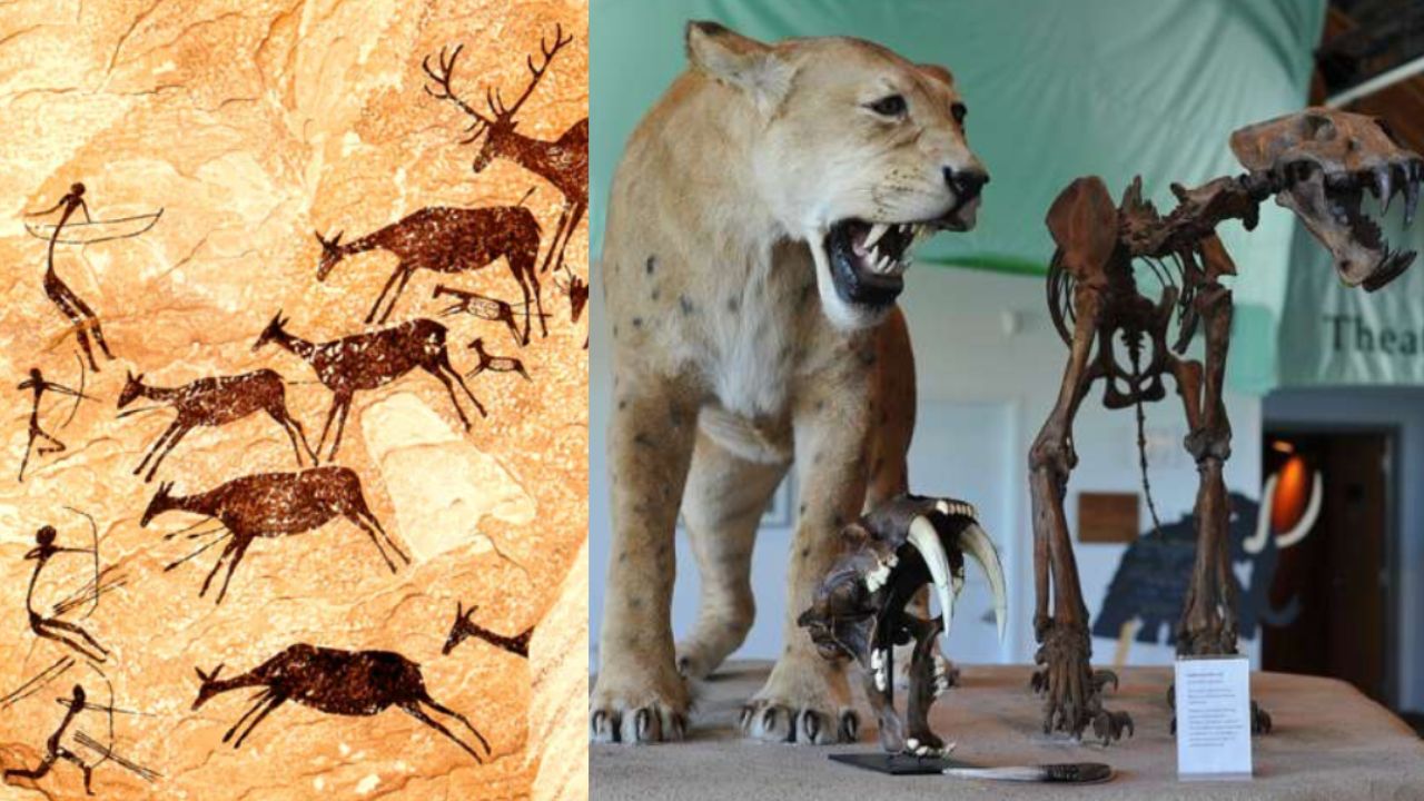 Humanos primitivos eram melhores na caça do que imaginávamos, sugere estudo