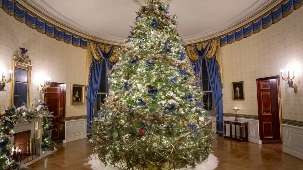 83 mil luzes e 75 árvores: Os detalhes da decoração de natal da Casa Branca