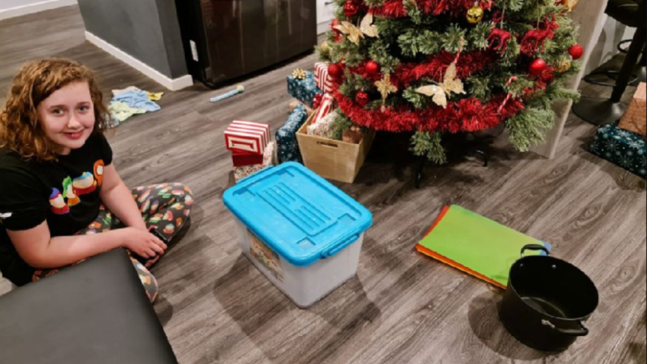 Família encontra cobra escondida entre os presentes de Natal