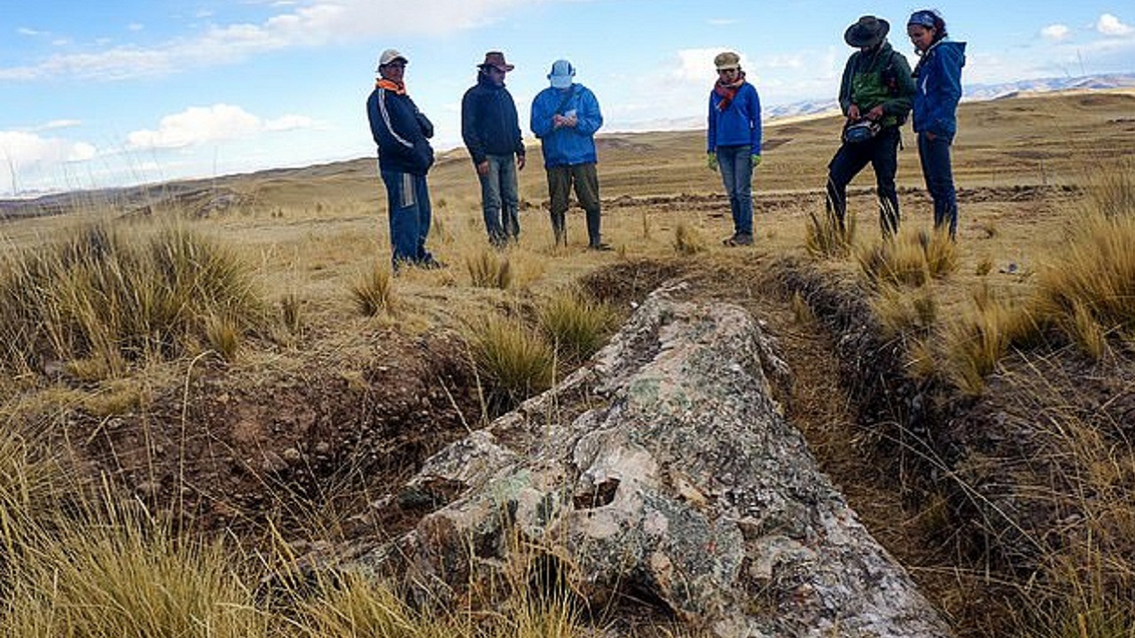 Gigantesca árvore fossilizada encontrada no Peru mostra como o clima mudou nos últimos 10 milhões de anos