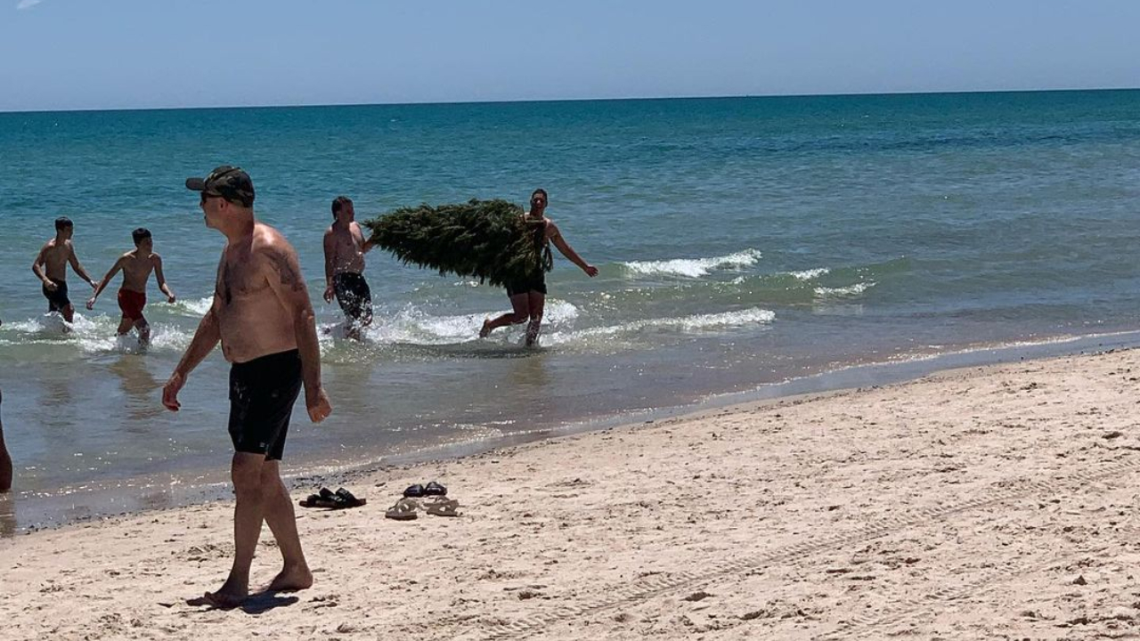 Tubarão que causou pânico em praia da Austrália era, na verdade, uma árvore de Natal