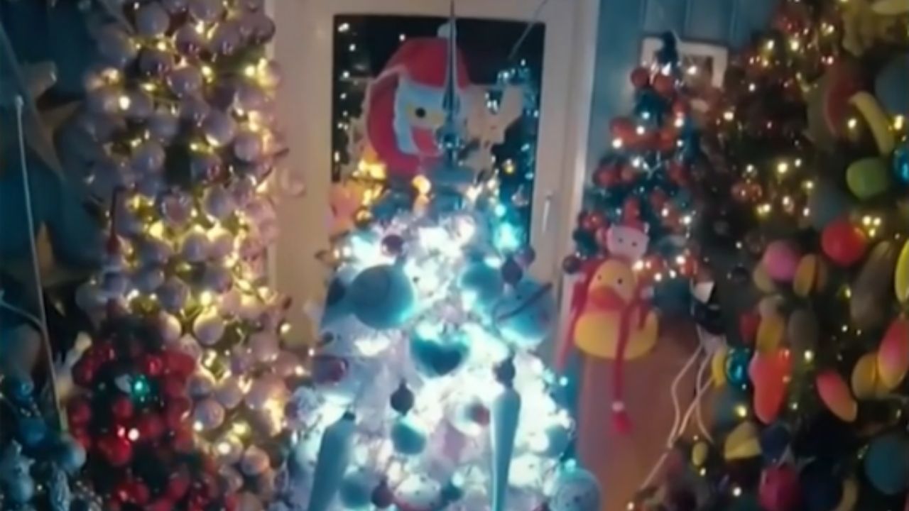 Com 444 árvores de Natal dentro de casa, casal alemão bate recorde