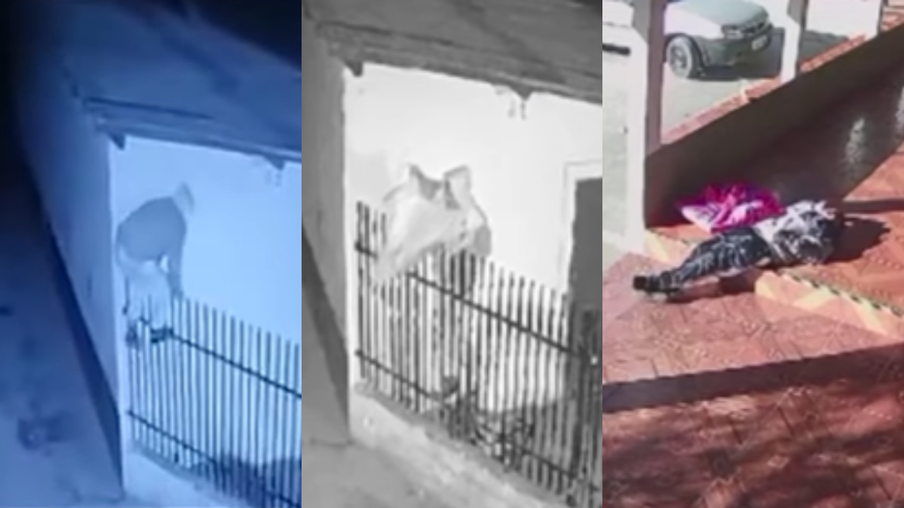 Homem invade igreja, rouba TV e cochila em lanchonete, no interior de SP