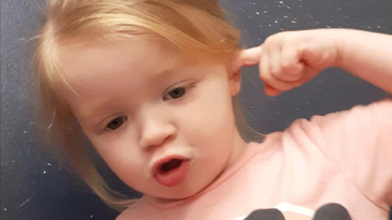 Mãe encontra dois carrapatos dentro do ouvido de filha e caso repercute