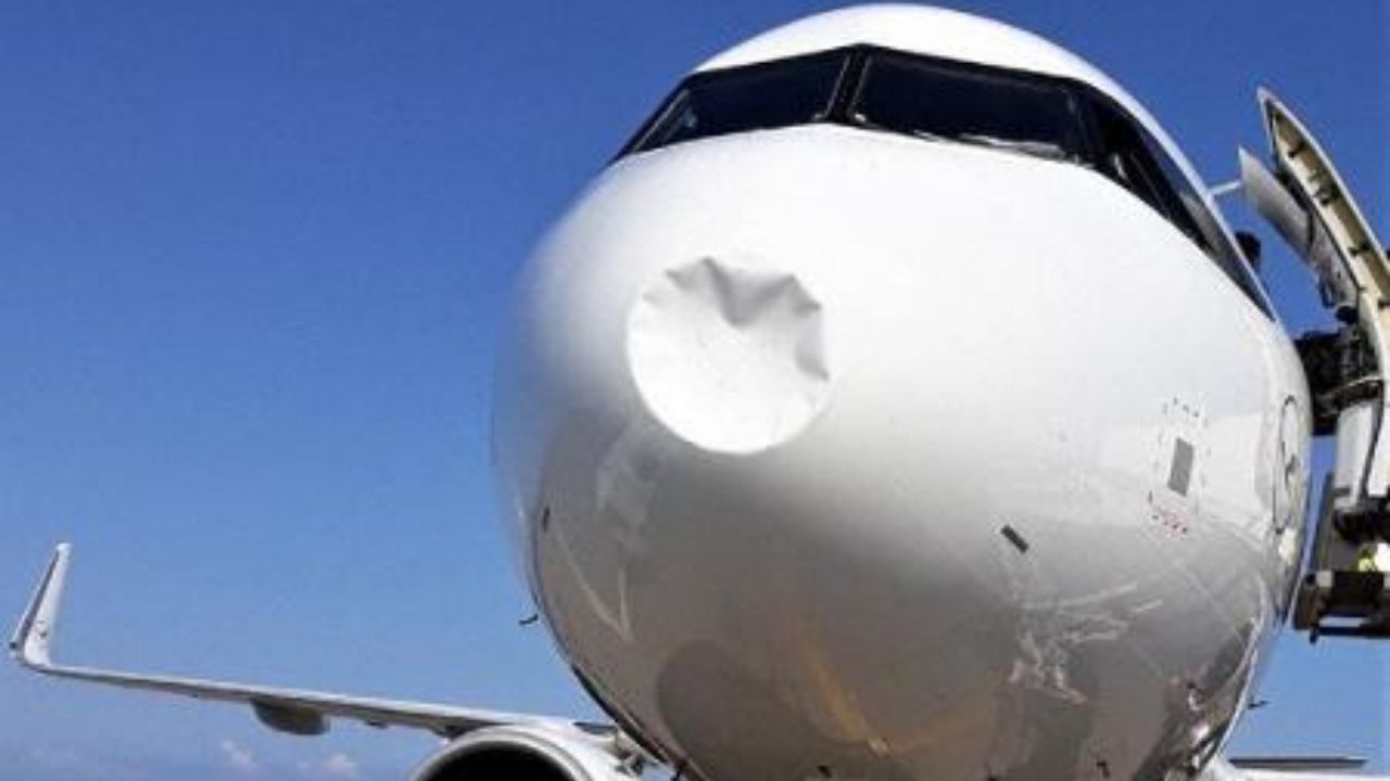 Colisão com pássaro amassa lataria de avião em aeroporto na Grécia