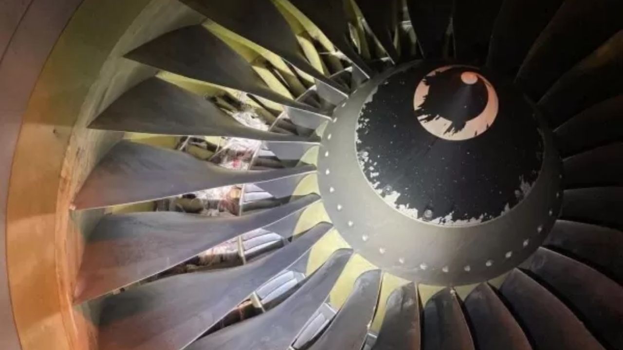 Garças são sugadas por motor de avião, que pousa em chamas na Itália