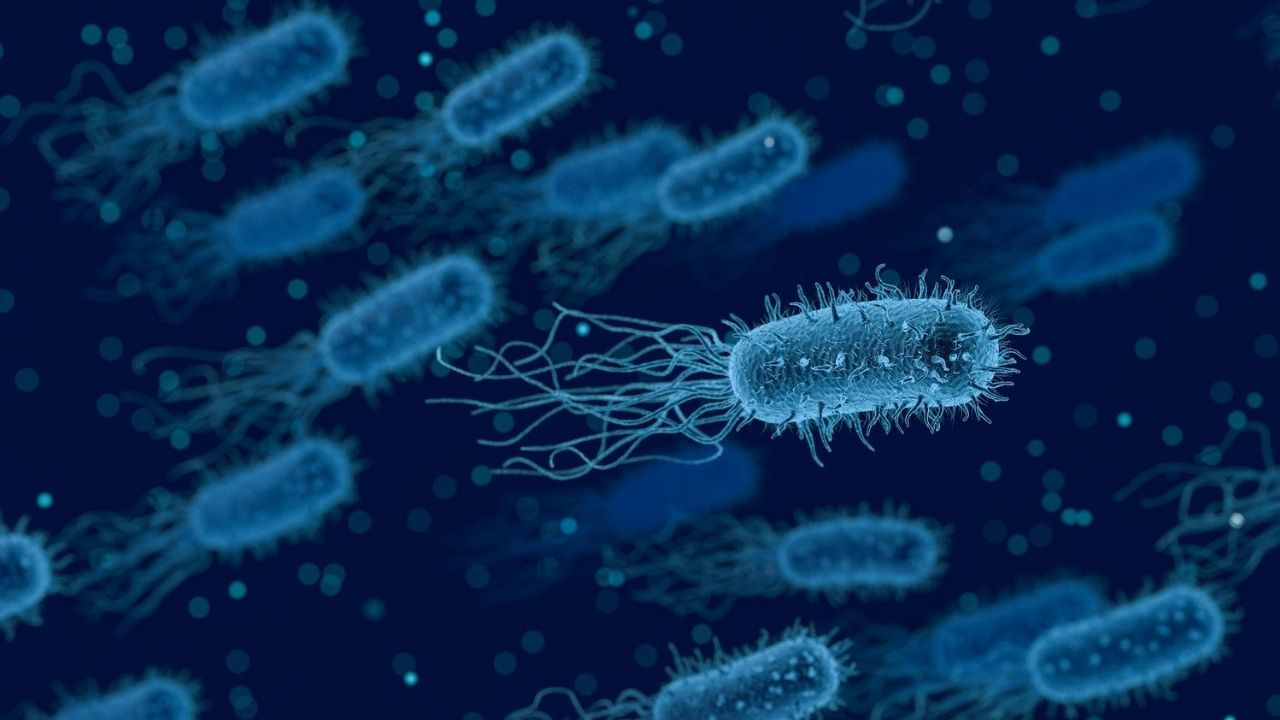 China: Vazamento de gás contaminado de laboratório infecta mais de 3 mil pessoas