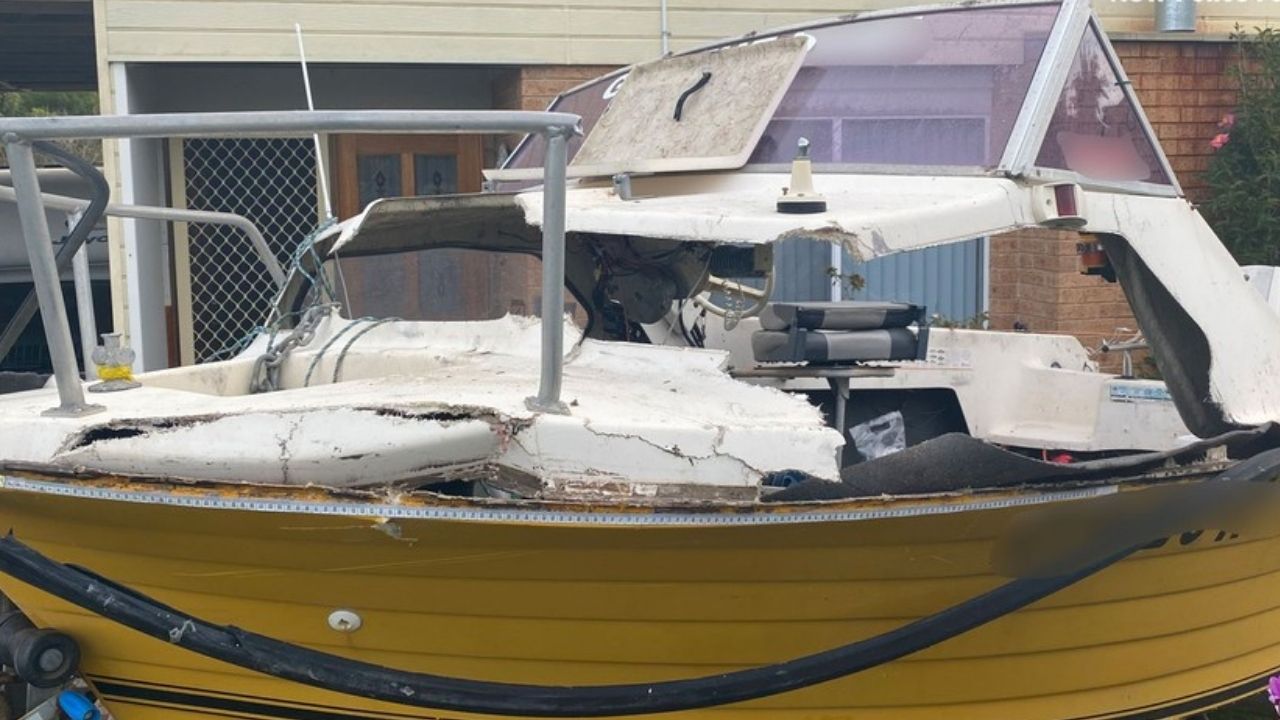 Jovem de 18 anos está em estado crítico após seu barco ter sido atingido por uma baleia