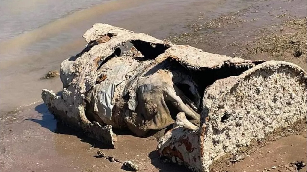 Mais lidas: Restos mortais encontrados em barril podem ajudar a esclarecer crime dos anos 1970