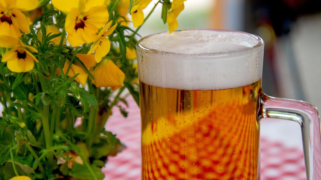 ‘Cerveja celta’ é feita a partir de análise de pólen de cemitério