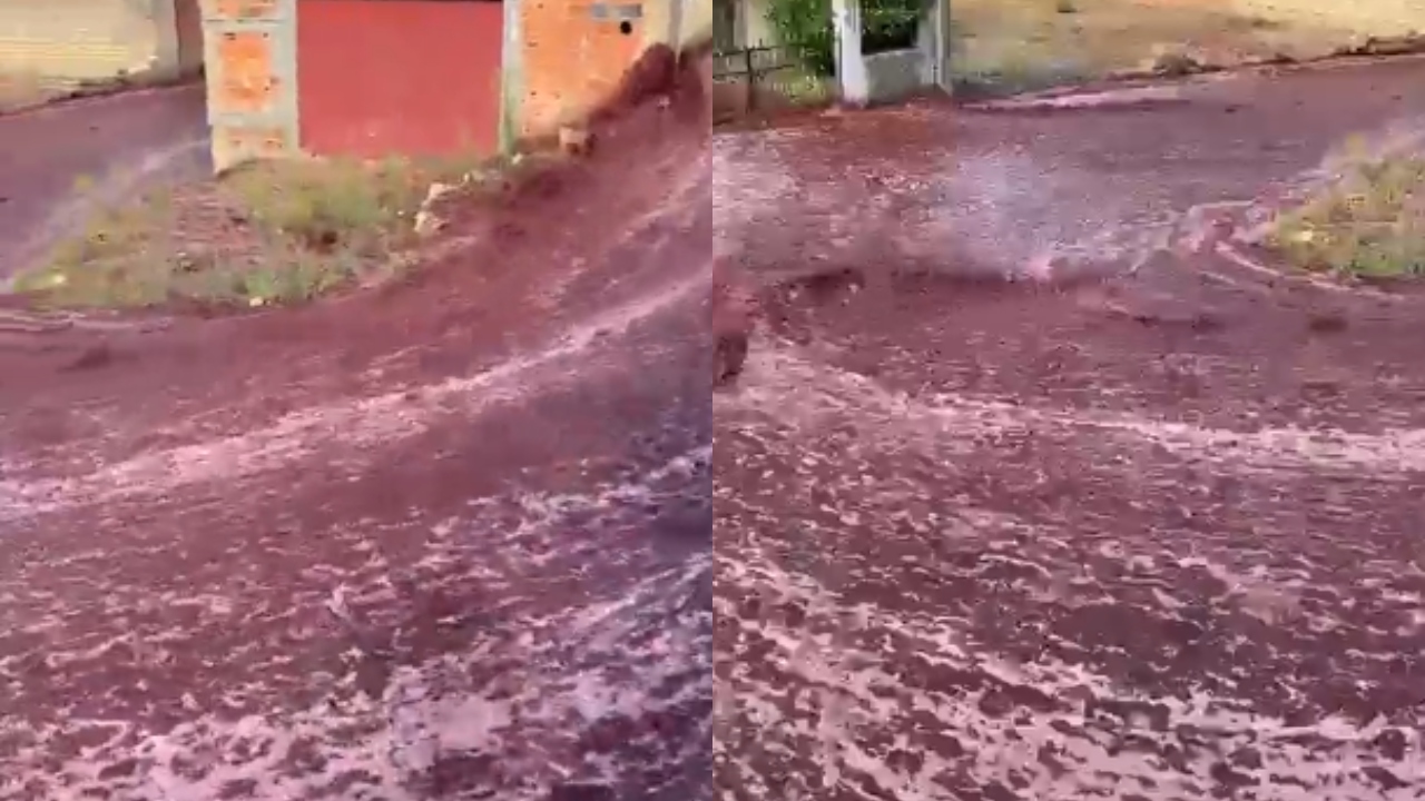 Depósitos de vinho estouram e líquido forma ‘rio’ por ruas de cidade portuguesa