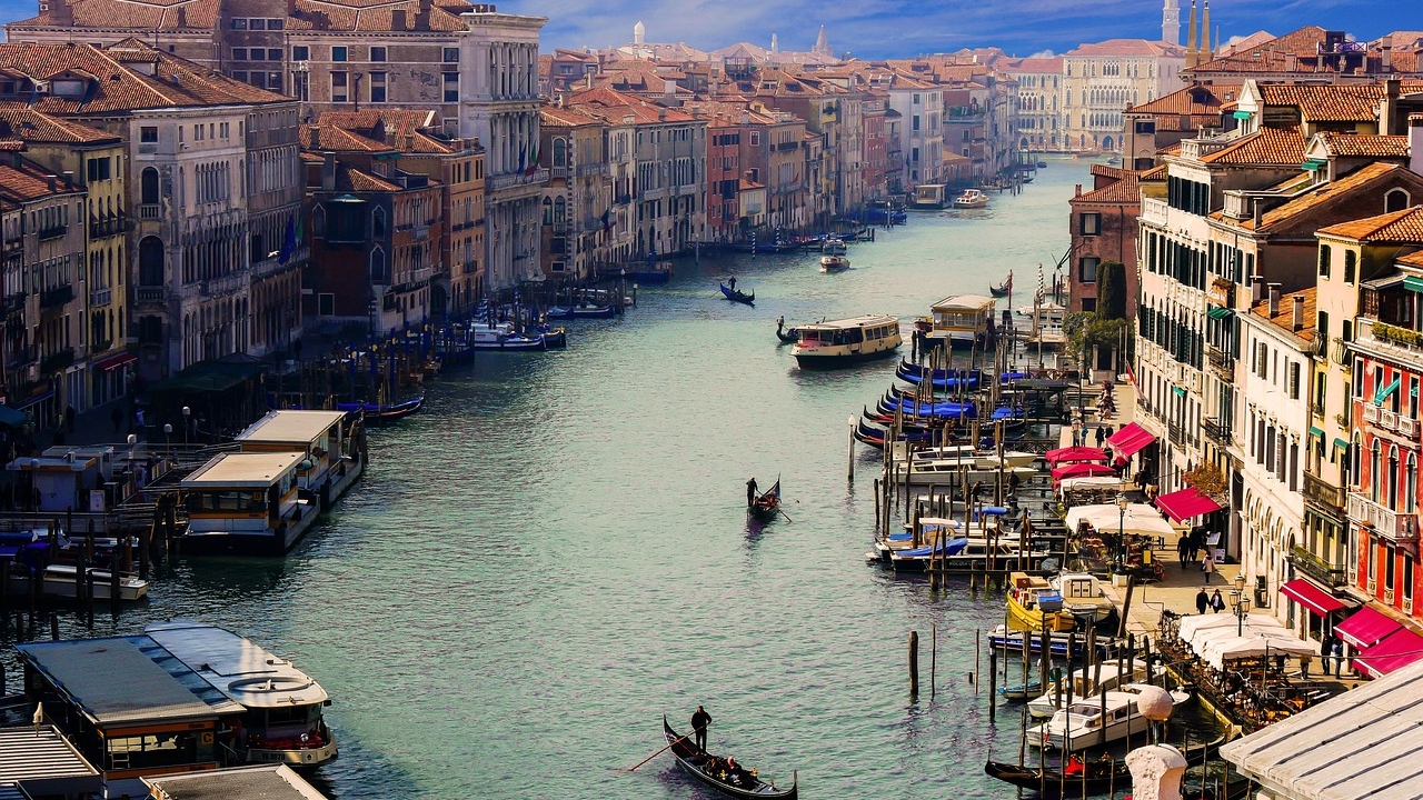 Após roubo de comida, Veneza lança guia para convivência com gaivotas