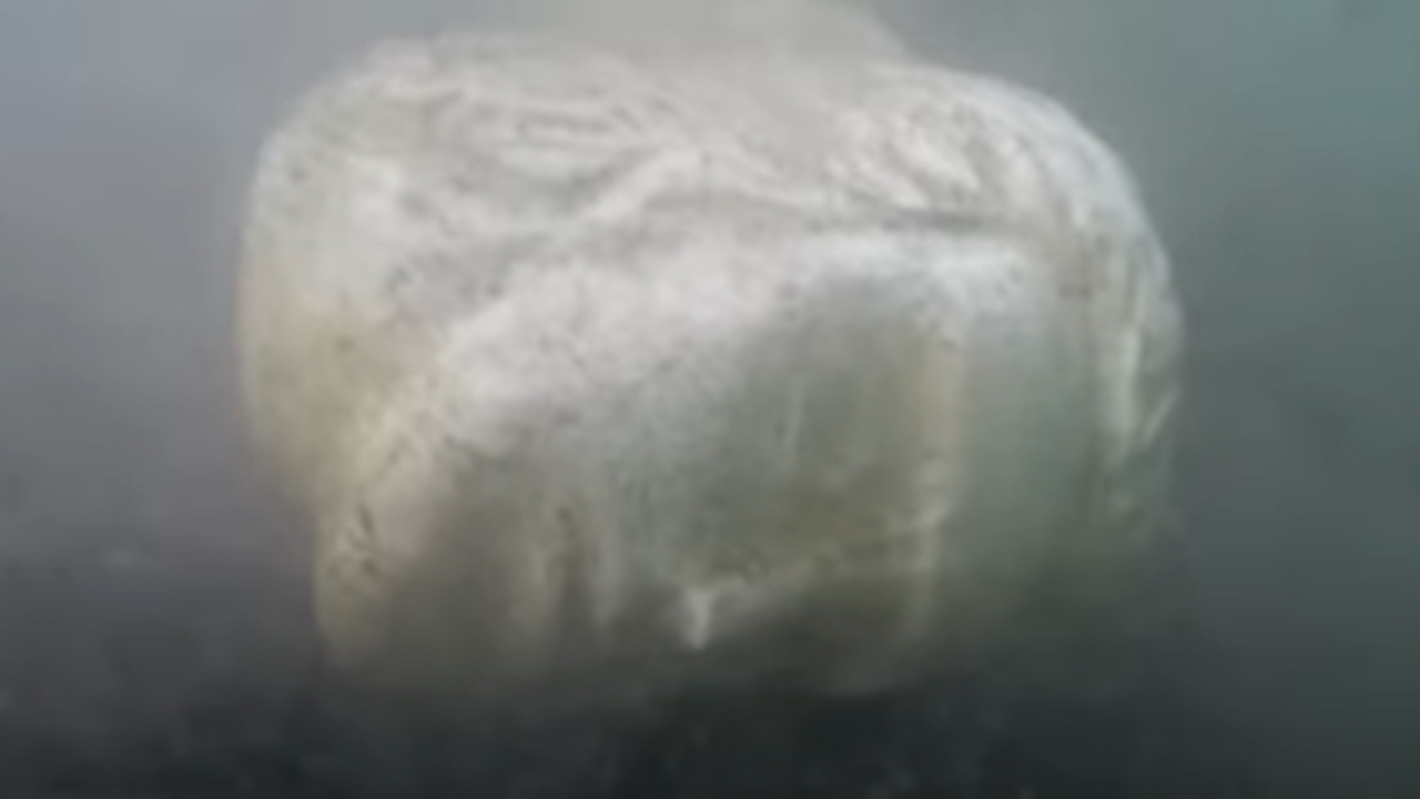 Cabeça de estátua encontrada em lago pode ter integrado barco de Calígula
