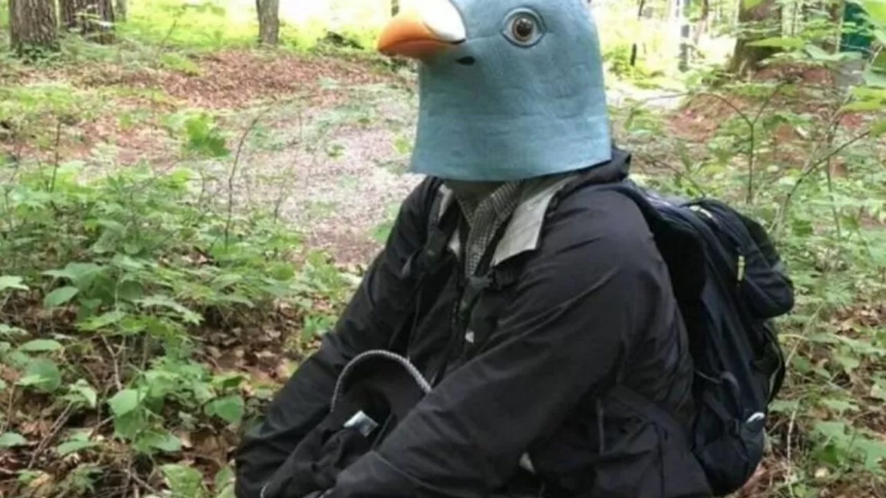 Por que esse pesquisador se fantasiou de pombo durante um ano?