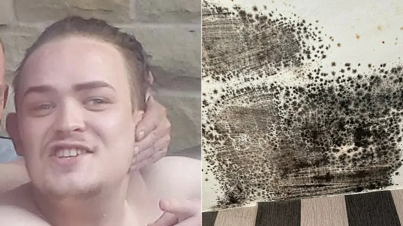 Após alugar casa com mofo, jovem morre com fungo no pulmão