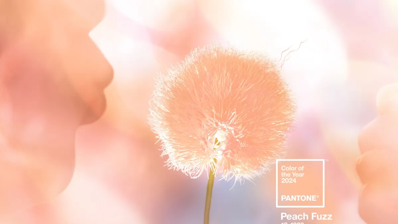 Descubra a cor do ano anunciada pela Pantone