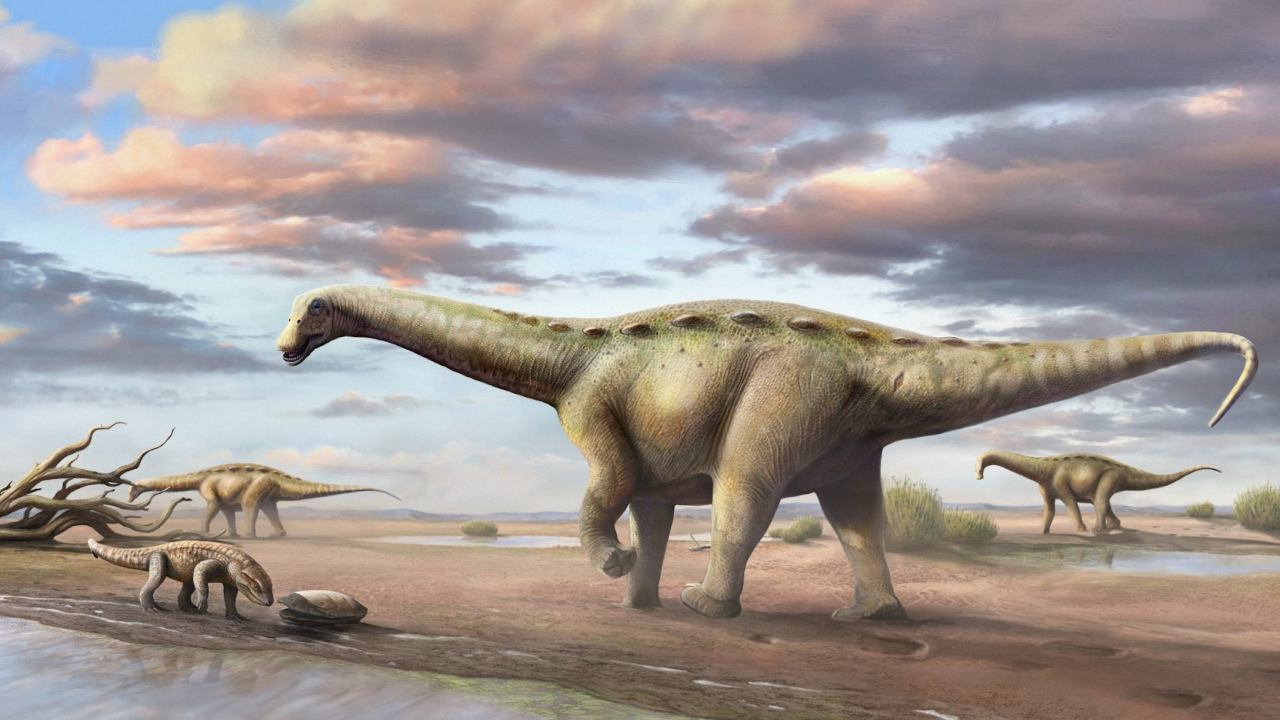 Novo dinossauro pescoçudo ‘anão’ é reconhecido no interior de São Paulo
