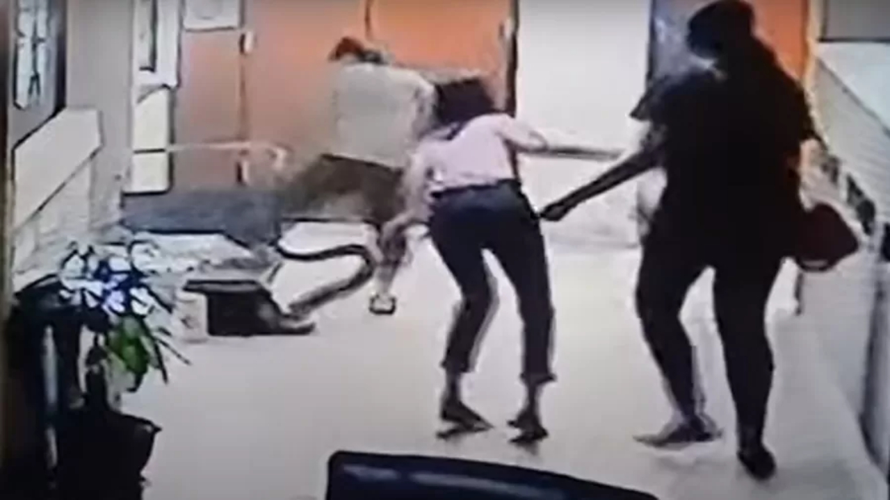 Funcionária é atacada por cobra que estava escondida embaixo de mesa
