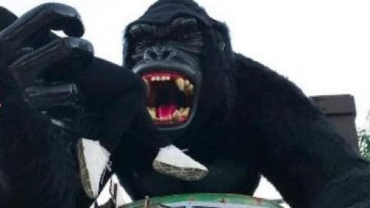 Criança fica em estado grave após sofrer acidente em atração de parque