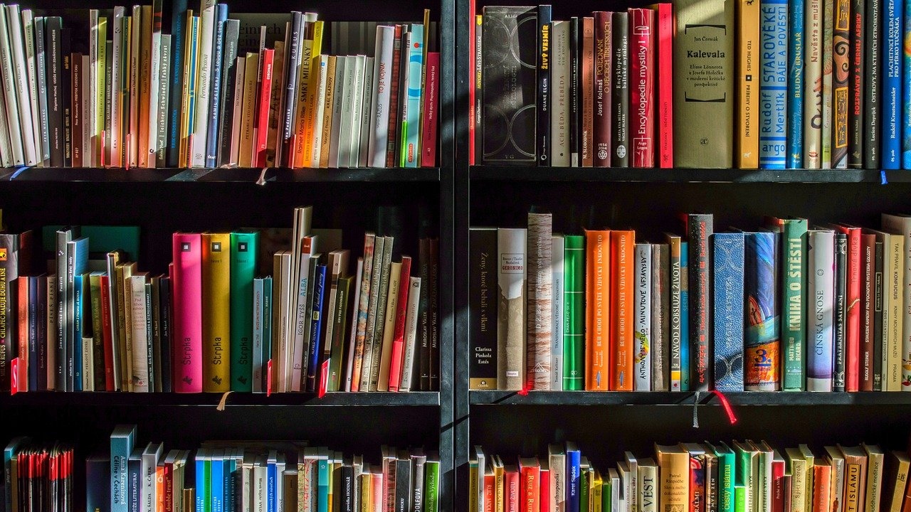 16 livros para não perder o hábito de ler nas férias