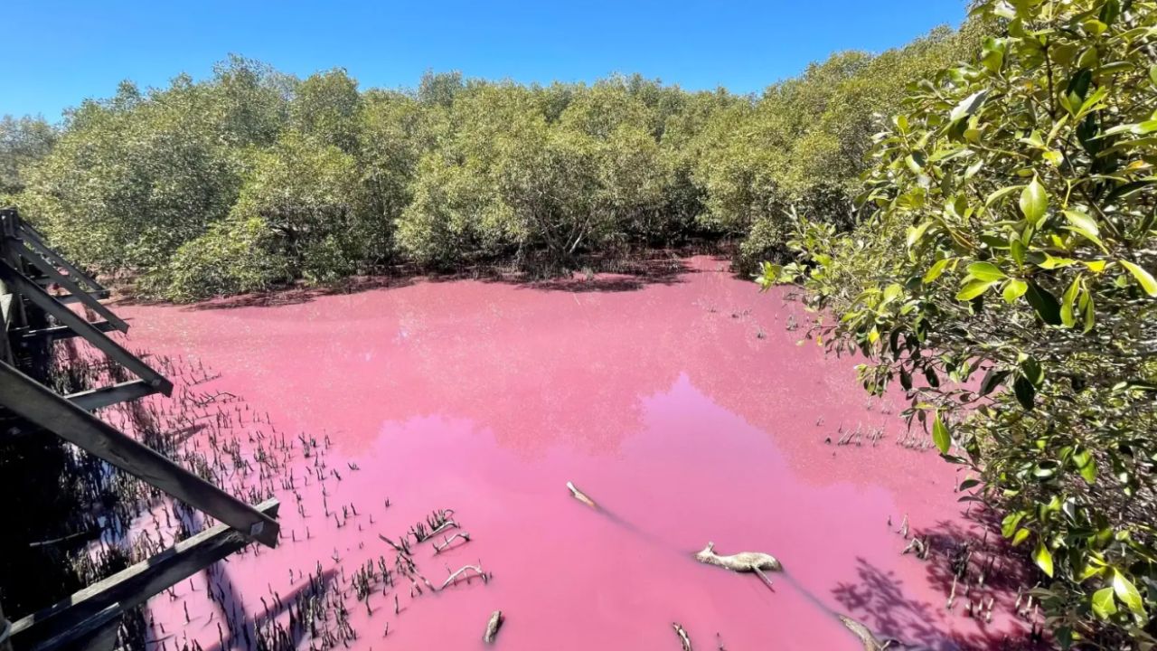 Riacho na Austrália preocupa moradores após ficar cor-de-rosa misteriosamente