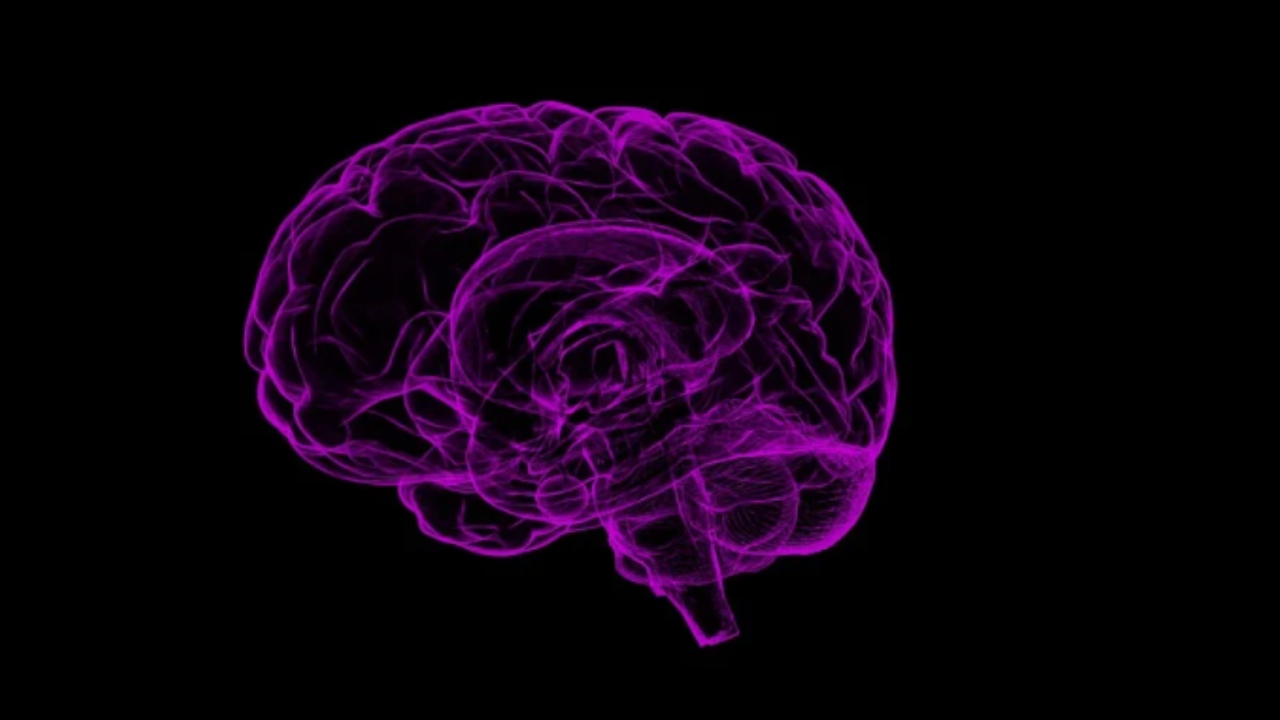 A tecnologia ajudou a neurociência a reimaginar o cérebro