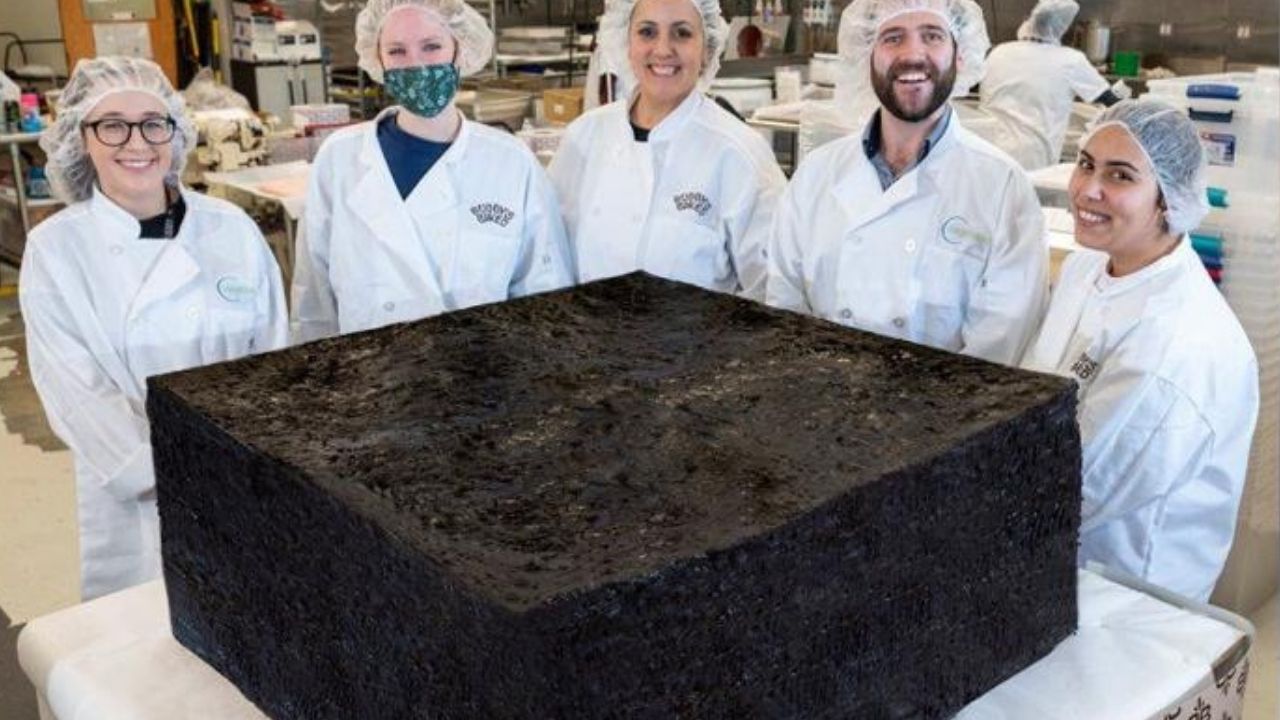Empresa estadunidense cozinha brownie de maconha de 385 quilos