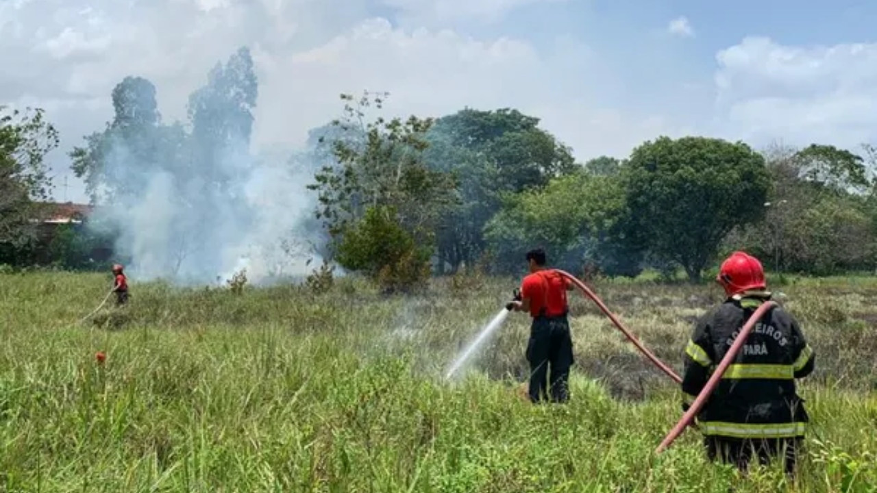 Belém: Ao soltar fogos em enterro, família acaba incendiando cemitério
