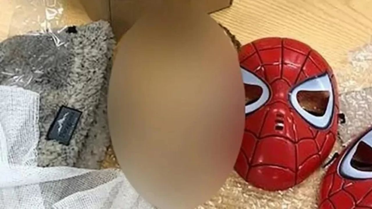 Cabeça decapitada com máscara do Homem-Aranha é encontrada em caixa enviada pelo correio