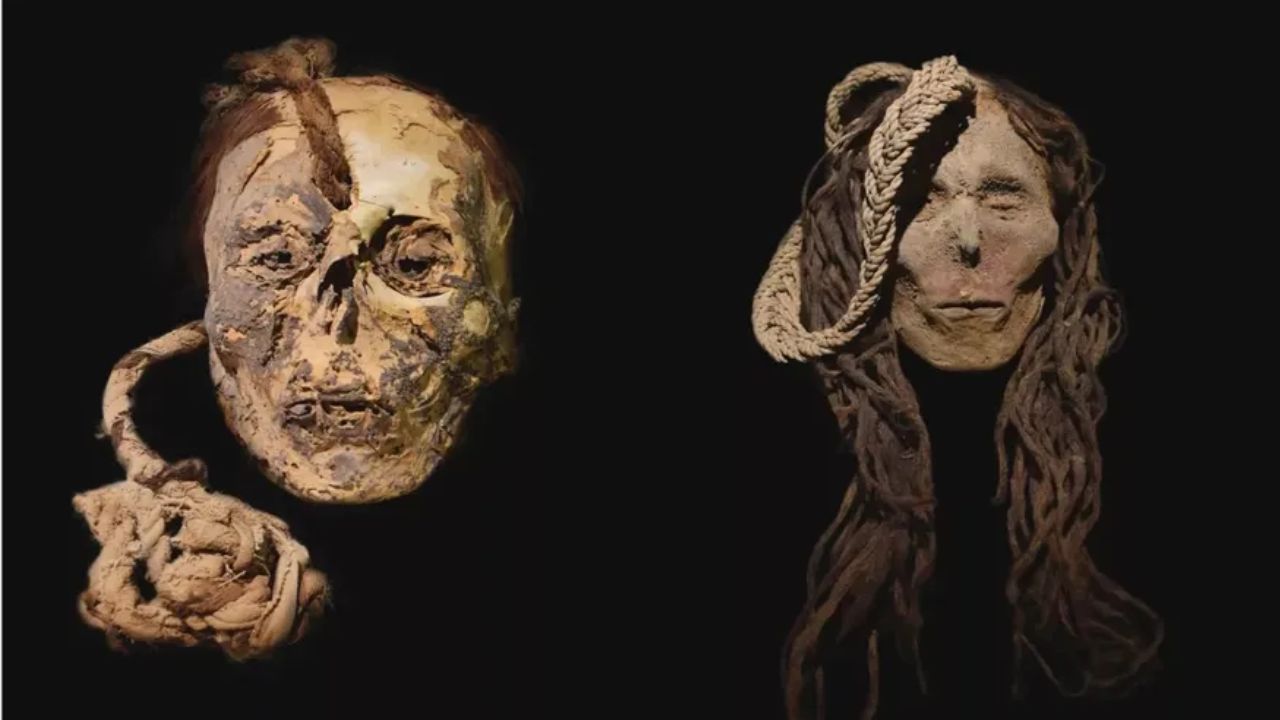 Antes de ser decapitada em ritual, criança ingeriu cacto alucinógeno no antigo Peru
