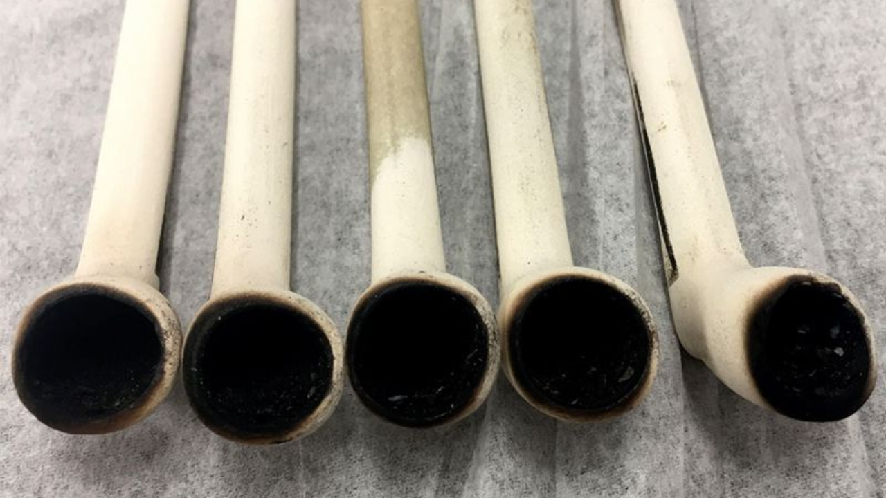 Tribos tabagistas consumiam plantas diferentes do tabaco, indica estudo