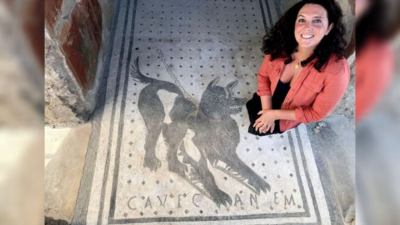 “Cão bravo!”: Arqueólogos encontram mosaico inusitado em Pompeia