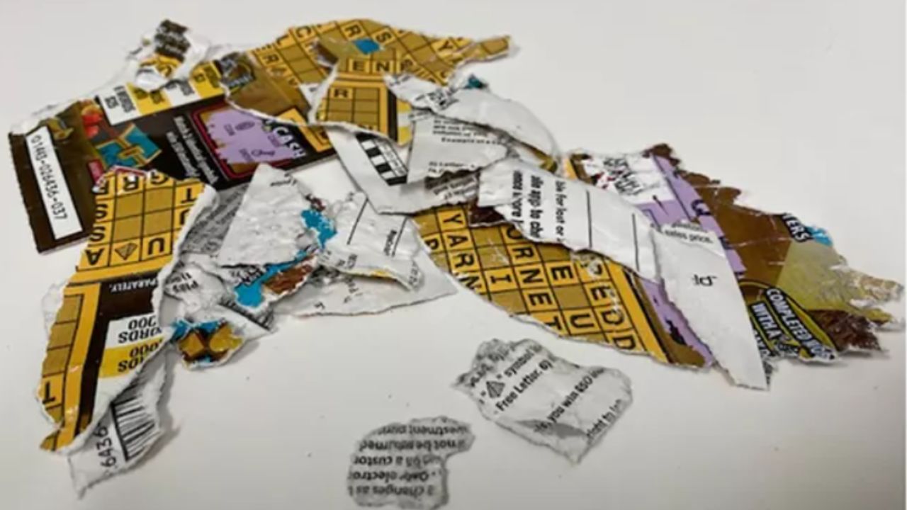 Loteria nos EUA: Cachorros mastigam bilhete premiado dos donos