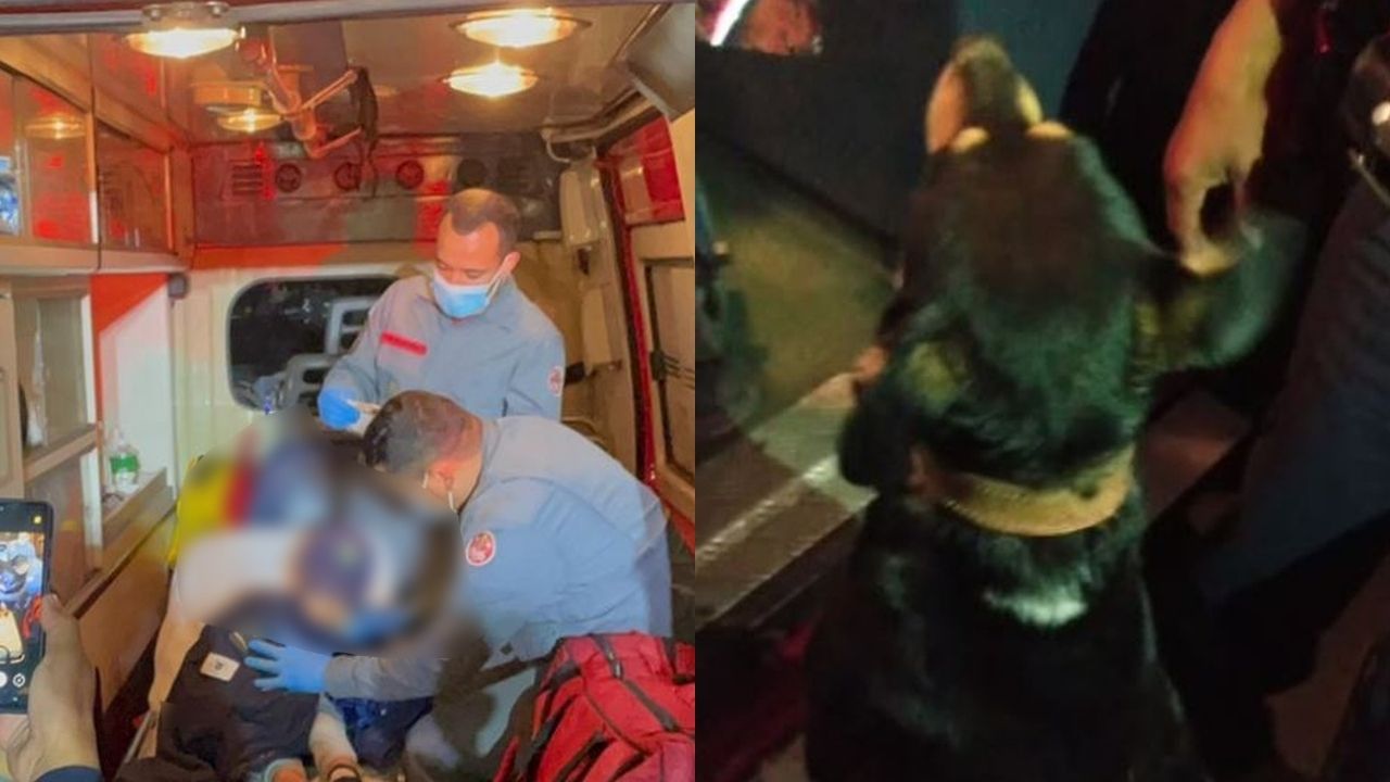 Criança que ficou quatro horas desaparecida é encontrada graças ao cachorro da família
